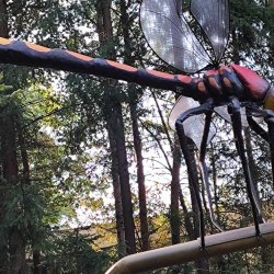 2024-09-22 Spotkanie krótkofalowców - Celestynów - zdjęcie 450