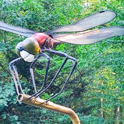 2024-09-22 Spotkanie krótkofalowców - Celestynów - zdjęcie 451