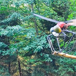 2024-09-22 Spotkanie krótkofalowców - Celestynów - zdjęcie 452