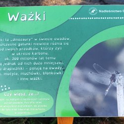 2024-09-22 Spotkanie krótkofalowców - Celestynów - zdjęcie 453