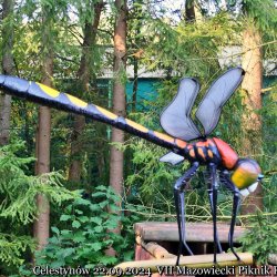 2024-09-22 Spotkanie krótkofalowców - Celestynów - zdjęcie 4