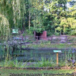 2024-09-22 Spotkanie krótkofalowców - Celestynów - zdjęcie 6