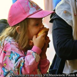 2024-09-22 Spotkanie krótkofalowców - Celestynów - zdjęcie 37