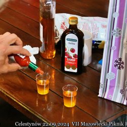 2024-09-22 Spotkanie krótkofalowców - Celestynów - zdjęcie 47