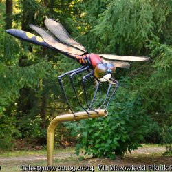 2024-09-22 Spotkanie krótkofalowców - Celestynów - zdjęcie 462