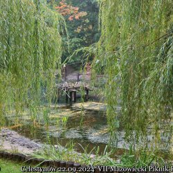 2024-09-22 Spotkanie krótkofalowców - Celestynów - zdjęcie 488