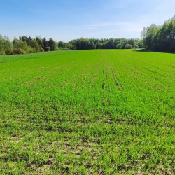 2025-04-26 Krakowa Góra spotkanie krótkofalowców  - zdjęcie 130