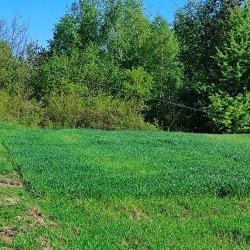 2025-04-26 Krakowa Góra spotkanie krótkofalowców  - zdjęcie 132