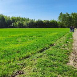 2025-04-26 Krakowa Góra spotkanie krótkofalowców  - zdjęcie 144