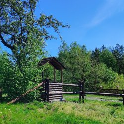 2025-04-26 Krakowa Góra spotkanie krótkofalowców  - zdjęcie 180