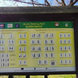 2025-04-26 Krakowa Góra spotkanie krótkofalowców  - zdjęcie 231