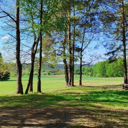 2025-04-26 Krakowa Góra spotkanie krótkofalowców  - zdjęcie 236