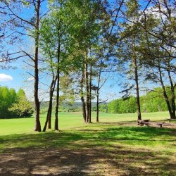 2025-04-26 Krakowa Góra spotkanie krótkofalowców  - zdjęcie 237