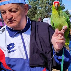 2025-05-21 ŁOŚ - Ogólnopolskie Spotkanie Krótkofalowców - zdjęcie 437