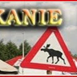 2025-05-21 ŁOŚ - Ogólnopolskie Spotkanie Krótkofalowców - zdjęcie 592