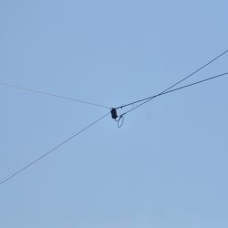 2025-06-12 Reaktywacja klubu SP7PHE w Opatowie  - zdjęcie 95