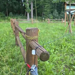 2025-07-31 Spotkanie terenowe na parkingu Busko-Pińczów - zdjęcie 14