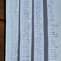 2025-08-25 Marysin 2025 - zdjęcie 102