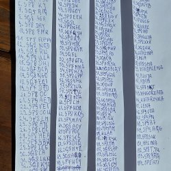 2025-08-25 Marysin 2025 - zdjęcie 103