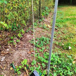 2025-08-25 Marysin 2025 - zdjęcie 268