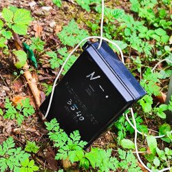 2025-08-25 Marysin 2025 - zdjęcie 269