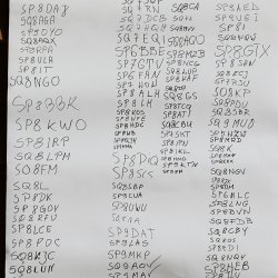 2025-08-25 Marysin 2025 - zdjęcie 406