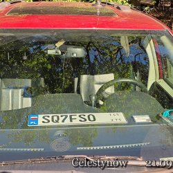 2025-09-21 VIII Mazowiecki Piknik Radiowy -Celestynów - zdjęcie 94