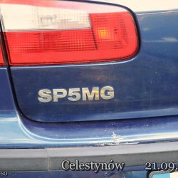 2025-09-21 VIII Mazowiecki Piknik Radiowy -Celestynów - zdjęcie 217