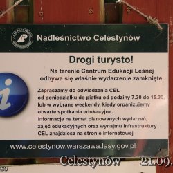 2025-09-21 VIII Mazowiecki Piknik Radiowy -Celestynów - zdjęcie 225