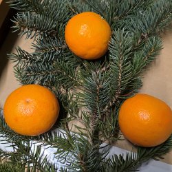 2025-12-18 Czwartkowe spotkanie z akcentem wigilijnym  - zdjęcie 61