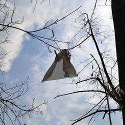 2026-03-29 - Pościg za sondą meteo IMGW - zdjęcie 16