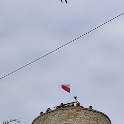IMG_20260411_104837.jpg