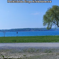 IMG_20260425_085314.jpg