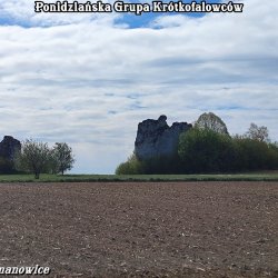 IMG_20260501_095658.jpg