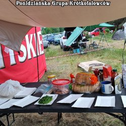IMG_20260530_085310.jpg