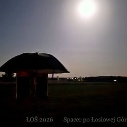 2011.jpg