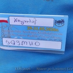 2231.jpg