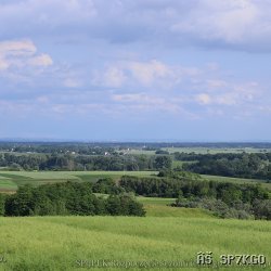 2026-06-13_17-17-17_132.JPG