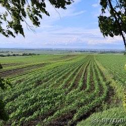 2026-06-13_17-18-57_138.JPG