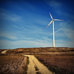 PONIDZIE - zdjęcie 5