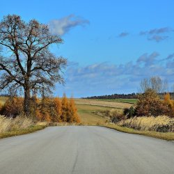 PONIDZIE - zdjęcie 7