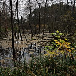 PONIDZIE - zdjęcie 8