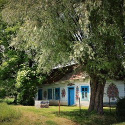 PONIDZIE - zdjęcie 10