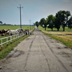 PONIDZIE - zdjęcie 11