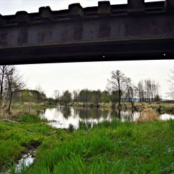 PONIDZIE - zdjęcie 12