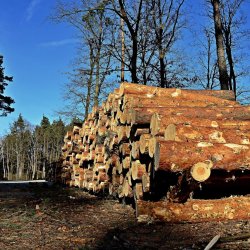 PONIDZIE - zdjęcie 24