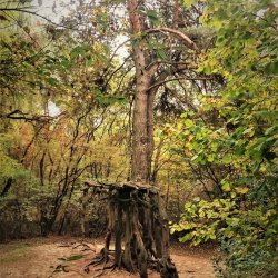 PONIDZIE - zdjęcie 27