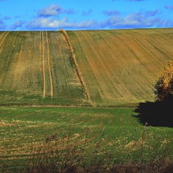 PONIDZIE - zdjęcie 32