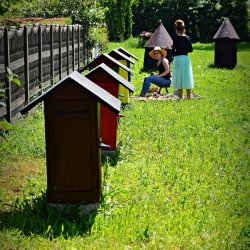 PONIDZIE - zdjęcie 45