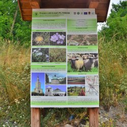 PONIDZIE - zdjęcie 46